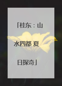 桂东：山水四都 夏日探奇