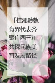 桂湘黔教育界代表齐聚广西三江共探民族美育发展路径