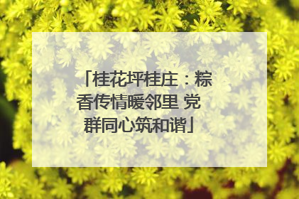 桂花坪桂庄：粽香传情暖邻里 党群同心筑和谐