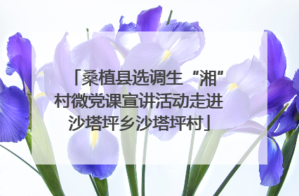 桑植县选调生“湘”村微党课宣讲活动走进沙塔坪乡沙塔坪村