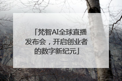 梵智AI全球直播发布会，开启创业者的数字新纪元