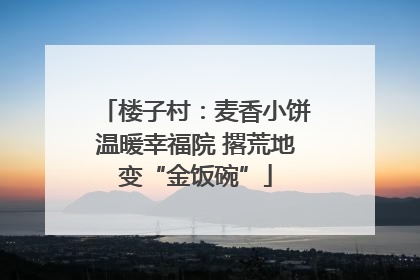 楼子村：麦香小饼温暖幸福院 撂荒地变“金饭碗”