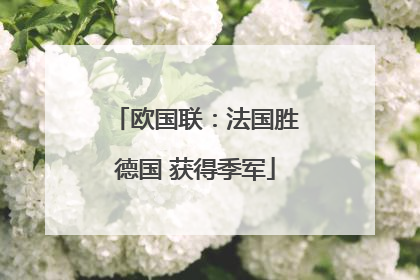 欧国联：法国胜德国 获得季军
