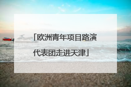 欧洲青年项目路演代表团走进天津