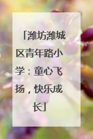 潍坊潍城区青年路小学：童心飞扬，快乐成长