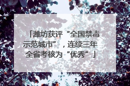 潍坊获评“全国禁毒示范城市”，连续三年全省考核为“优秀”