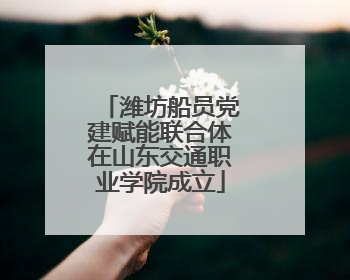 潍坊船员党建赋能联合体在山东交通职业学院成立