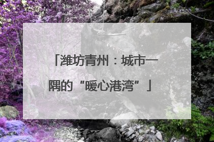 潍坊青州：城市一隅的“暖心港湾”