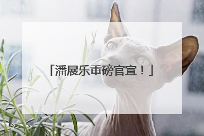 潘展乐重磅官宣！