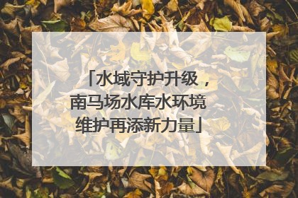水域守护升级，南马场水库水环境维护再添新力量