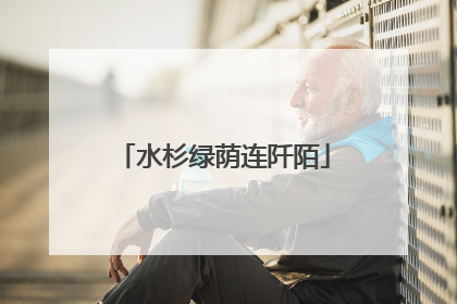 水杉绿荫连阡陌
