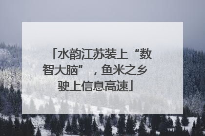 水韵江苏装上“数智大脑”，鱼米之乡驶上信息高速