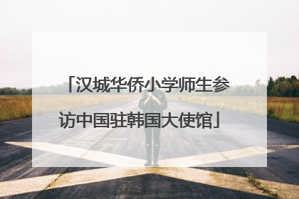 汉城华侨小学师生参访中国驻韩国大使馆