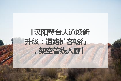 汉阳琴台大道焕新升级：道路扩容畅行，架空管线入廊