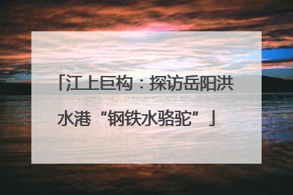 江上巨构：探访岳阳洪水港“钢铁水骆驼”