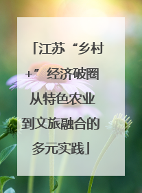 江苏“乡村+”经济破圈 从特色农业到文旅融合的多元实践