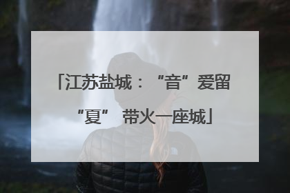 江苏盐城：“音”爱留“夏” 带火一座城