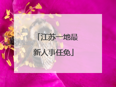 江苏一地最新人事任免