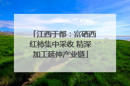 江西于都：富硒西红柿集中采收 精深加工延伸产业链