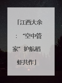江西大余：“空中管家”护航稻虾共作