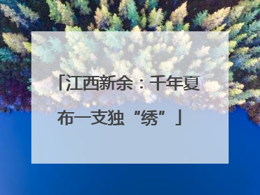 江西新余：千年夏布一支独“绣”