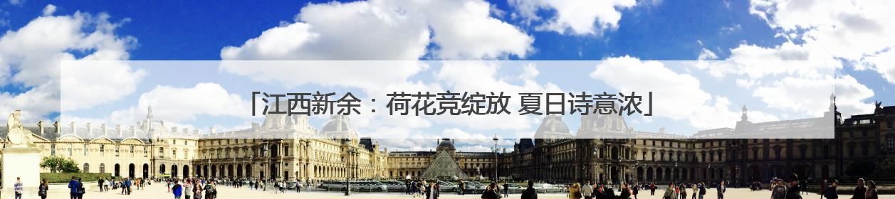 江西新余：荷花竞绽放 夏日诗意浓
