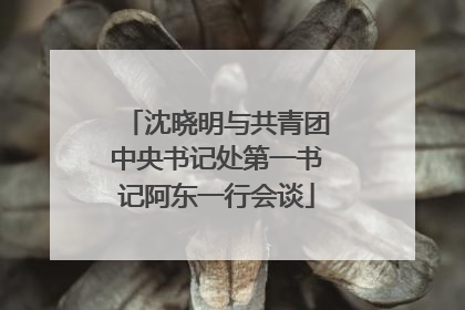 沈晓明与共青团中央书记处第一书记阿东一行会谈