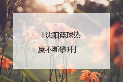 沈阳篮球热度不断攀升