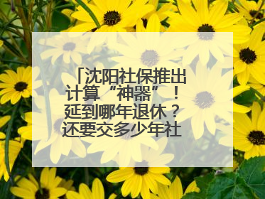 沈阳社保推出计算“神器”！延到哪年退休？还要交多少年社保？速查→