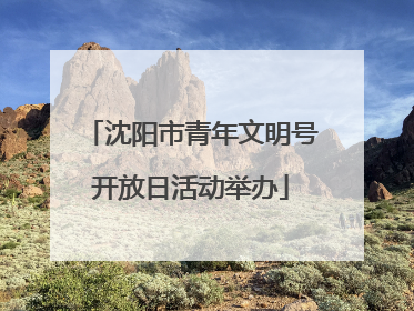 沈阳市青年文明号开放日活动举办