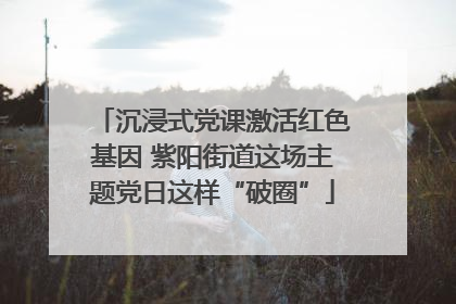 沉浸式党课激活红色基因 紫阳街道这场主题党日这样“破圈”