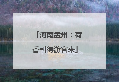 河南孟州：荷香引得游客来