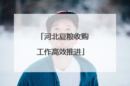 河北夏粮收购工作高效推进