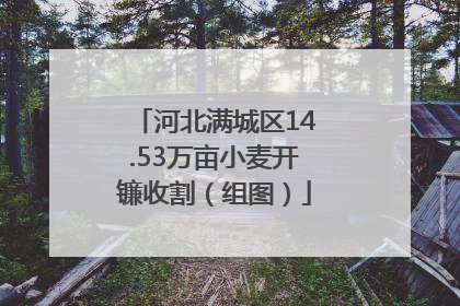 河北满城区14.53万亩小麦开镰收割（组图）