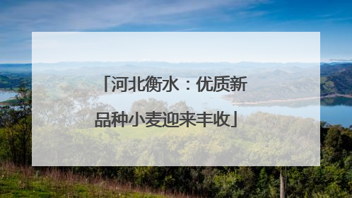 河北衡水：优质新品种小麦迎来丰收