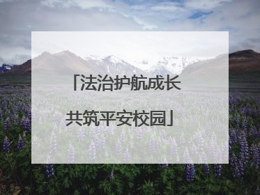 法治护航成长 共筑平安校园