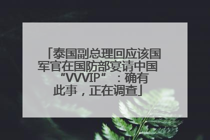 泰国副总理回应该国军官在国防部宴请中国“VVVIP”：确有此事，正在调查