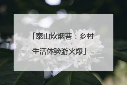 泰山炊烟巷：乡村生活体验游火爆