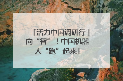 活力中国调研行｜向“智”！中国机器人“跑”起来
