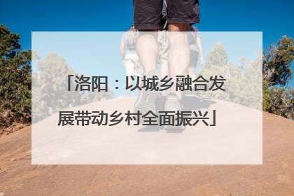 洛阳：以城乡融合发展带动乡村全面振兴