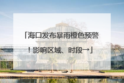 海口发布暴雨橙色预警！影响区域、时段→
