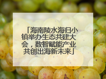 海南陵水海归小镇举办生态共建大会，数智赋能产业共创出海新未来