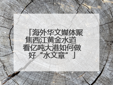 海外华文媒体聚焦西江黄金水道 看亿吨大港如何做好“水文章”