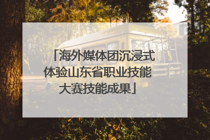 海外媒体团沉浸式体验山东省职业技能大赛技能成果