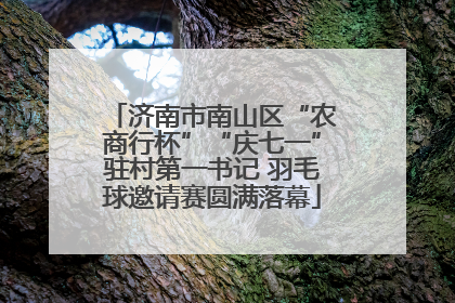 济南市南山区“农商行杯”“庆七一”驻村第一书记 羽毛球邀请赛圆满落幕