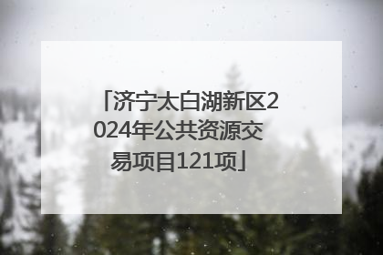 济宁太白湖新区2024年公共资源交易项目121项