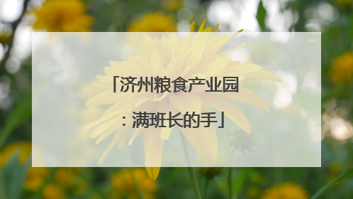 济州粮食产业园：满班长的手