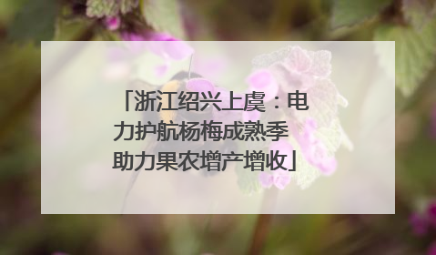浙江绍兴上虞：电力护航杨梅成熟季 助力果农增产增收