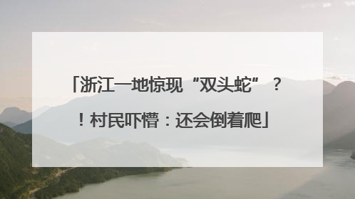 浙江一地惊现“双头蛇”？！村民吓懵：还会倒着爬
