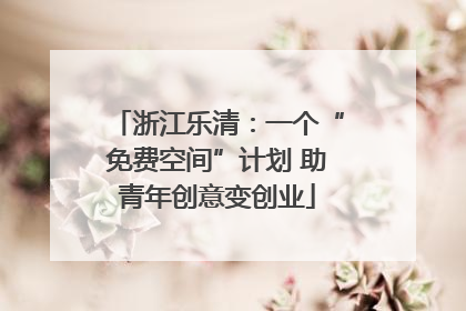 浙江乐清：一个“免费空间”计划 助青年创意变创业